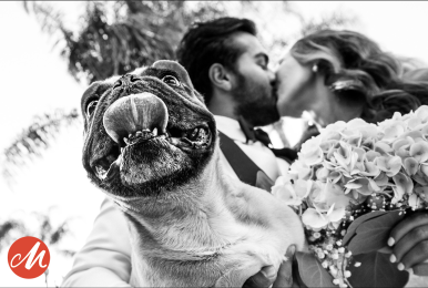 Brian Callaway – Wedding photographer of the quarter 3/2025