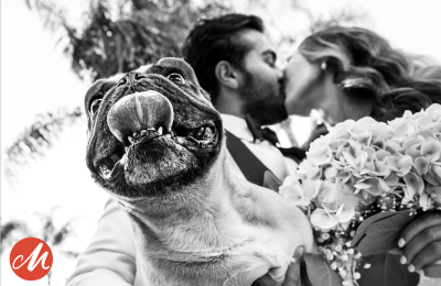 Brian Callaway – Wedding photographer of the quarter 3/2025