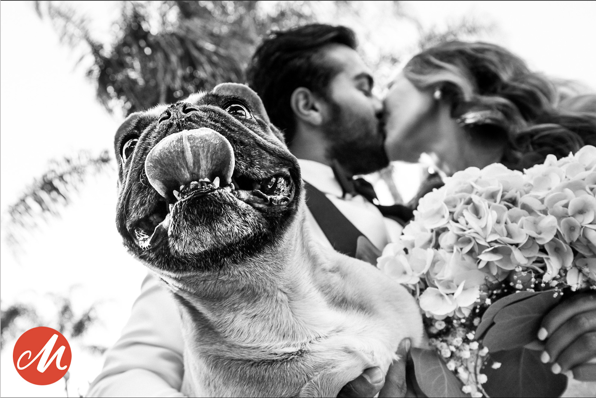Brian Callaway – Wedding photographer of the quarter 3/2025