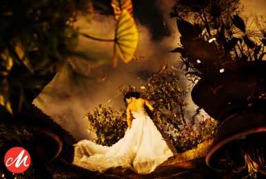 Cafa Liu – Wedding photographer of the year 2025!