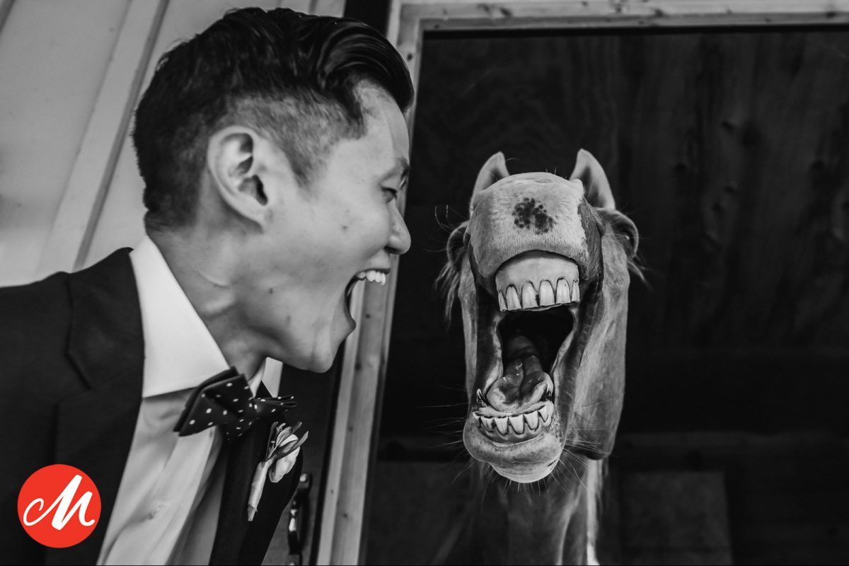 Ken Pak – Wedding photographer of the quarter 1/2026